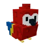 Scarlet Macaw
